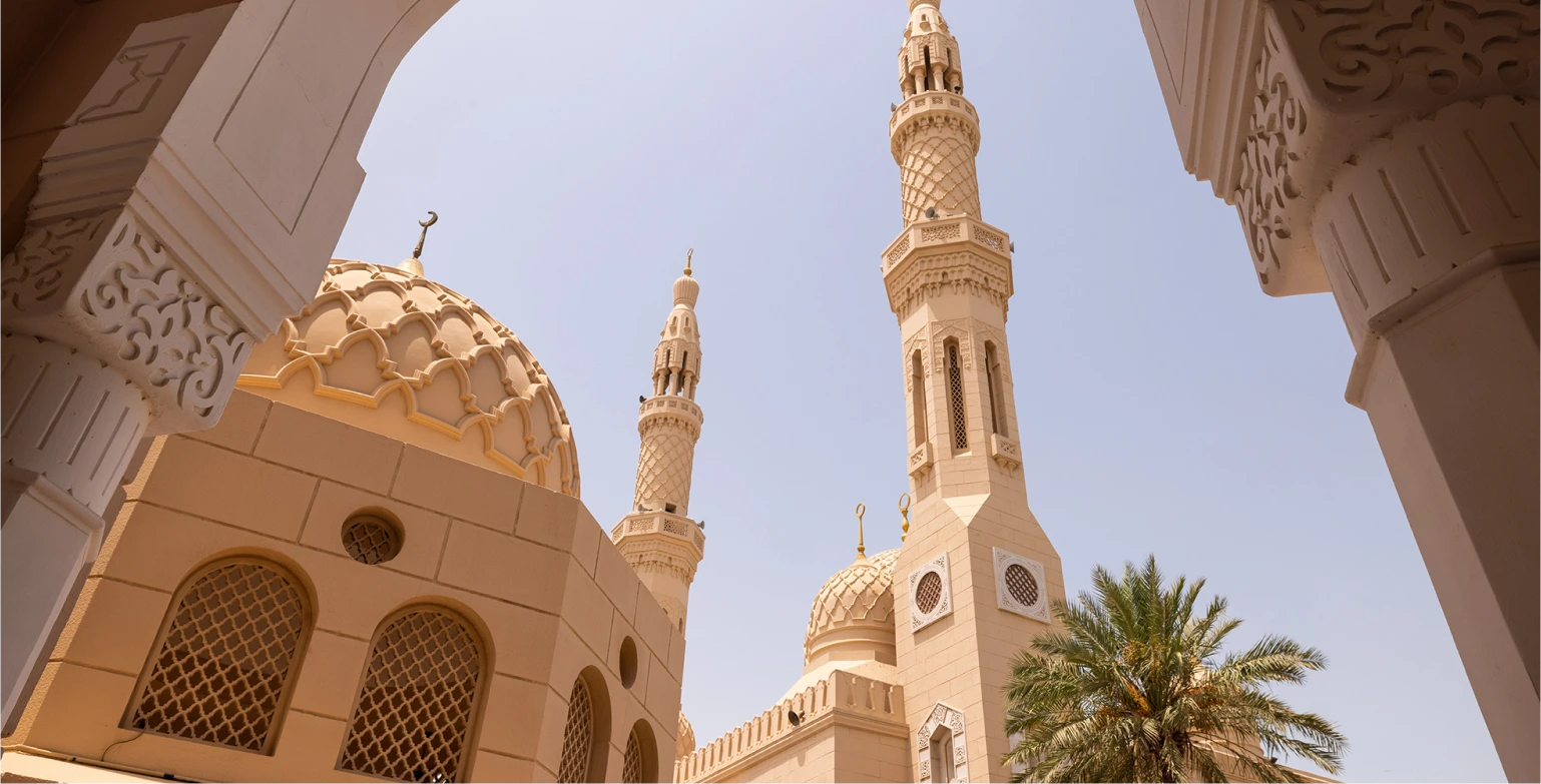 Non-Profit Lawyers in Dubai